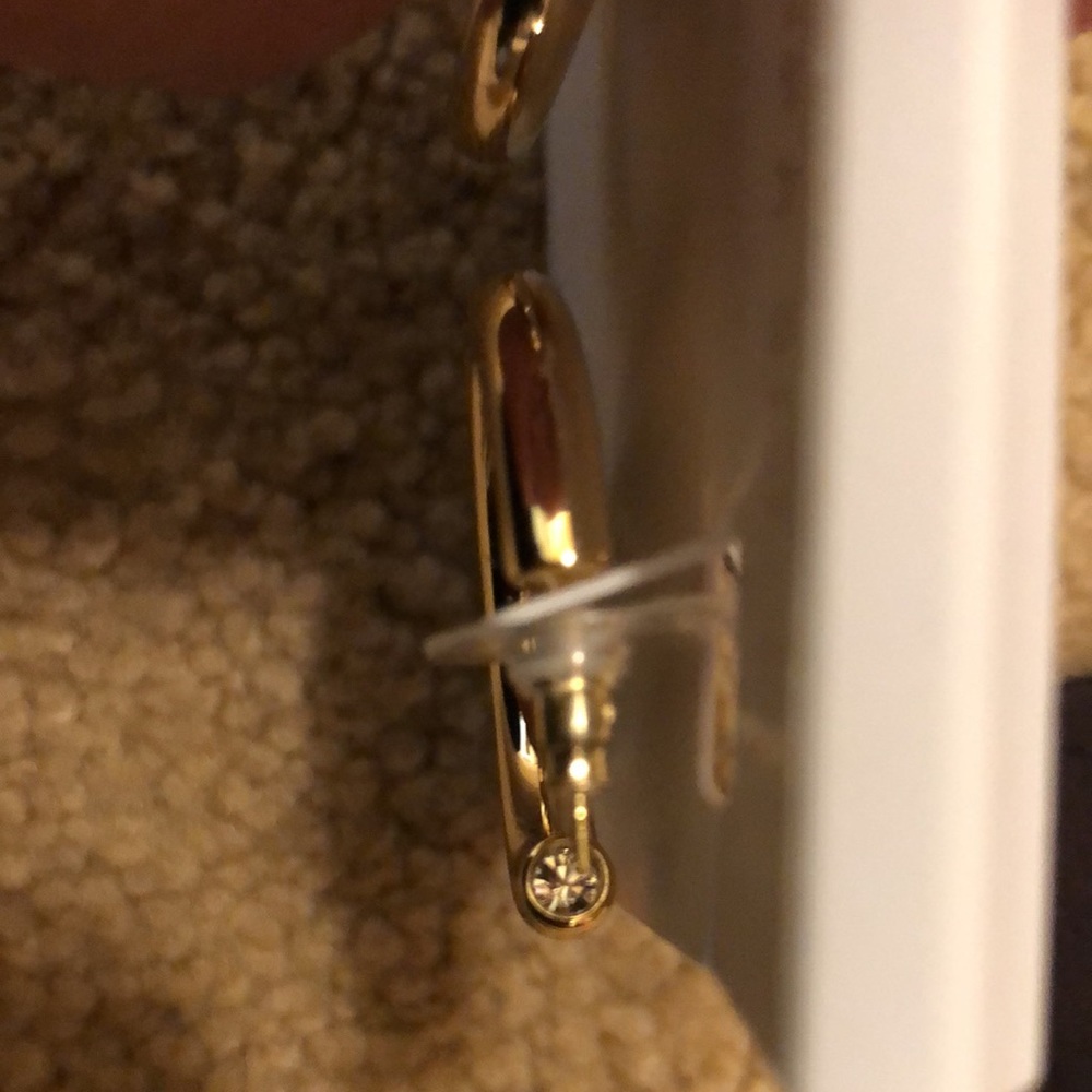 Hoop earrings Kendra Scott Brand New 🌹❤️🦩🦜👗 - Picture 2 of 3